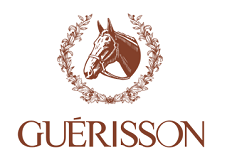 Guerisson